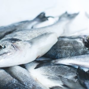 Shimmering fish at fish market